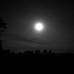 Meet your Posher, Ahmad